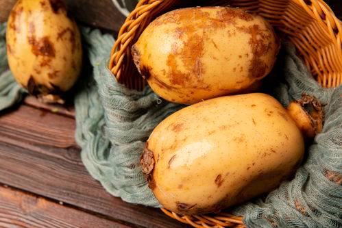 蓮藕 玉藕玲瓏，節日佳肴與苗木之美